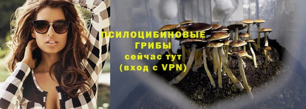 дурь Зерноград